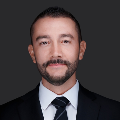 Frank A. Leavitt, Esq. Photo